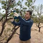 Секатор Bosch Pro Pruner Professional без АКБ и ЗУ (06019K1020): Вес, кг 0.8