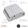 Одеяло Sonex Performance 200х220 см + подушки 50х70 cм (2 шт.) (SO102365): Размер, см 220x200