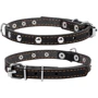 Ошейник Collar одинарный с украшением (ш 12мм, д 24-32см) черный
