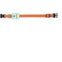 Ошейник кожаный Lucky Pet двойной с пластиковой фурнитурой 1x18-25 см оранжевый (4820224217857): Производитель Lucky Pet