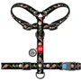 Шлея WAUDOG Nylon с QR-паспортом рисунок Рик и Морти 3 L 25 мм 50-90 см черный (5160-0282): Производитель WAUDOG