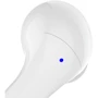 Наушники Belkin Soundform Motion White (AUC010BTWH): Тип конструкции вакуумные