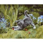 Картина по номерам Идейка Игривый котенок 40x50 см (KHO4251)