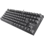 Клавиатура Genesis Thor 300 TKL (NKG-1826): Интерфейс подключения USB