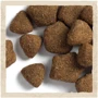 Сухой корм Dog Chow Adult 1+ для взрослых собак с ягненком 2.5кг (12493231): Возраст Взрослые