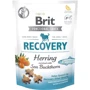Ласощі для собак Brit Care Functional Snack Recovery Herring функціональні з оселедцем 150 г (8595602540129)
