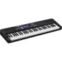 Синтезатор CASIO CT-S500C7: Тип Профессиональные