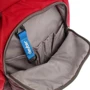 Рюкзак Рюкзак Deuter Walker 20 колір 5323 maron-midnight (3810617 5323) фото 9
