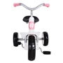 Велосипед трехколесный детский Qplay Elite+ Pink (T180-5Pink): Диаметр колес, дюймов 10