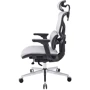 Офісне крісло Аклас Прайд R-SR Сірий (RT Light grey) (00169264)