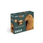 Картонний конструктор Cartonic 3D Puzzle EAGLE: Кількість фрагментів, шт 138