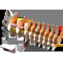Сборная 3D модель Eugy Зоопарк: Котенок рыжий (XEG-087)