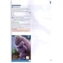 New English Adventure Starter A Teacher's Book: ISBN 9781447949077