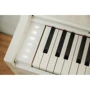 Цифровое пианино CASIO AP-S450WE: Количество клавиш 88 (7.5 октав)