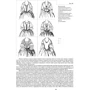 Константин Стамеров: Нариси з історії костюмів / Sketches from History of Costumes: ISBN 978-966-577-118-0