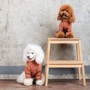 Толстовка Pet Fashion Miley XS2 (4823082434718): Размер животного Маленькие