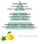 Аромалампа Maison Berger Paris ICE CUBE FEUILLE 256 мл с ароматом ZEST OF VERBENA 250 мл (4806) фото 2