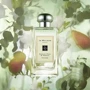 Одеколон Jo Malone English Pear & Freesia100 ml: Вид Одеколон
