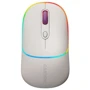 Мышь Canyon MW-22 Dual Band RGB Wireless Rice (CNS-CMSW22RC)