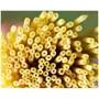 Спагеті Barilla №9 Bucatini 500 г (WT00152): Вага нетто 500 г
