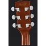 Электро-акустическая гитара Ibanez PF15ECE NT: Количество струн 6