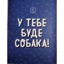Ванесса Естрада Марін: Дітям про дресирування собак: Кількість сторінок 176