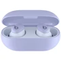 Наушники Beats by Dr. Dre Solo Buds Arctic Purple (MUVX3): Тип конструкции вакуумные