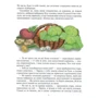 Вільгельм Гауф: Карлік-Ніс: Виробник Сім кольорів