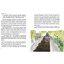 Веніамін Каверін: Верлиока: Автор Веніамін Каверін