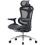 Офисное кресло Sihoo DORO C300L Mesh Black (DORO-C300L-A3-101)