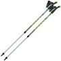 Треккинговая палка Gabel Ritmo Green (7008350760000)