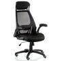 Special4You Briz 2 black (E4961): Оснащение поясничный валик, подлокотники, подголовник, механизм качания, с крестовиной