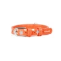 Ошейник Collar Glamour с узором Звездочка Светящийся 21-29 см 12 мм оранжевый (4823089301112): Цвет оранжевый