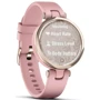 Смарт-часы Garmin Lily Cream Gold Bezel with Dust Rose Case and Silicone Band (010-02384-13): Материал корпуса алюминий (Безель)