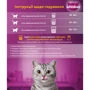 Сухой корм для взрослых кошек Whiskas с говядиной 14кг (5900951014345): Тип Сухой корм