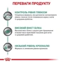 Сухой корм Royal Canin Diabetic Cat для котов с диабетом 1.5 кг (39060151): Основные ингредиенты Рис, Птица