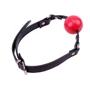 Кляп CHISA Red Ball Gag