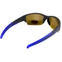 Спортивные очки Очки поляризационные BluWater Daytona-2 Polarized (brown) коричневые в черно-синей оправе (4ДЕЙТ2-Г50П): Свойства линз Поляризационные