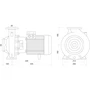 Поверхностный центробежный насос SAER IR 50-160NB 7,5 кВт (80 м3/ч, 39 м) фото 4
