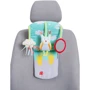 Розвиваючий центр для автомобіля Taf Toys Лісова музика (11835): Тип розвиваючий центр