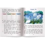 Гадкий утенок. The Ugly Duckling: Количество страниц 32