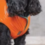 Жилет Pet Fashion "SPRING" оранжевый XS2 (4823082420452) фото 6