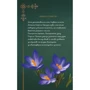 Щоденник Мавки. Весна: Кількість сторінок 192