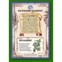 Настольная игра Зельеварение. Университетский курс (Potion-Making. University Course): Производитель Правильные Игры