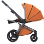 Коляска 2 в 1 ANEX L-TYPE LT-14T Ginger: Стать дитини Унисекс