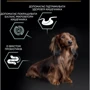 Сухой корм для собак Purina ProPlan Small&Mini Sens digestion с чувствительным пищеварением с ягненком 700 г (7613036611299): Свойства Основное питание, Забота о пищеварении