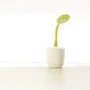 Смарт-лампа ночник UFT emoi H0022 Flower Speaker