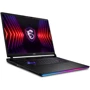 Ноутбук MSI RAIDER GE78 HX (14VHG-837US): Экран 17.3" IPS (2560x1600)