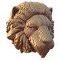Картонный настенный конструктор Cartonic 3D Puzzle LION