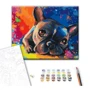 Картина по номерам Brushme Цветной бульдог 40х50 см (BS28895): Производитель Brushme